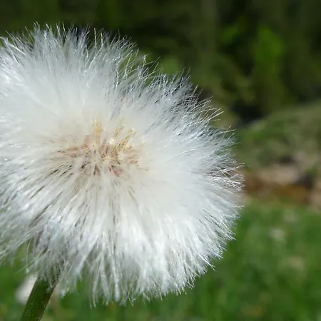 아파트 Rief Ingrid Und Hubert