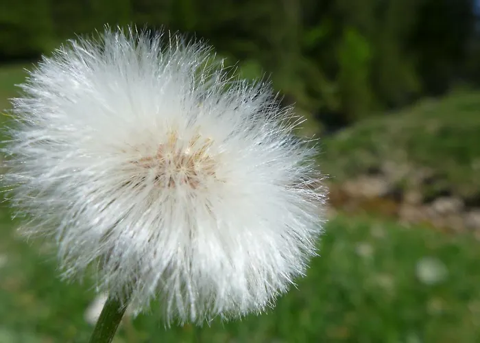 Apartamento Rief Ingrid Und Hubert