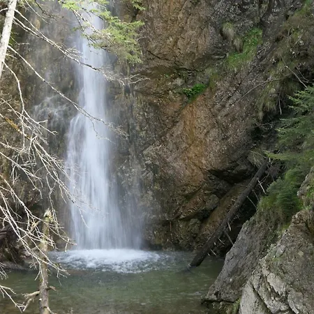 Rief Ingrid Und Hubert Daire *