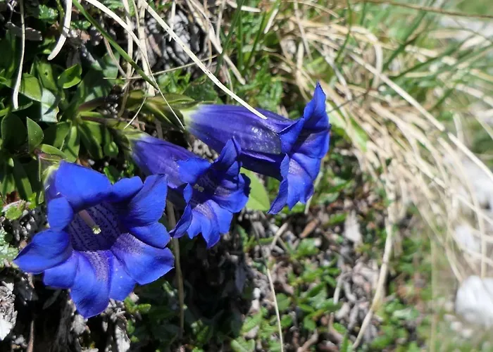 Rief Ingrid Und Hubert 아파트 *